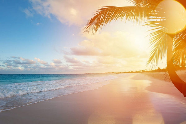 Travelling abroad when you have IBS