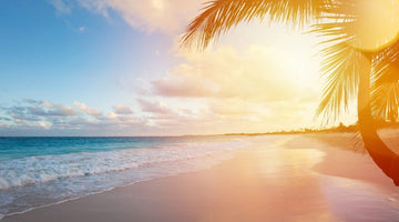 Travelling abroad when you have IBS